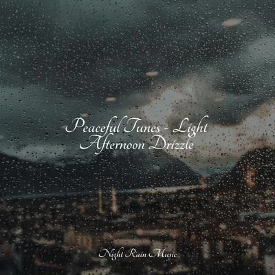 Peaceful Tunes - Light Afternoon Drizzle 專輯 Natureza