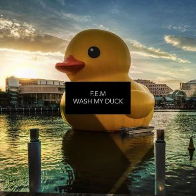 Wash My Duck 專輯 F.e.m