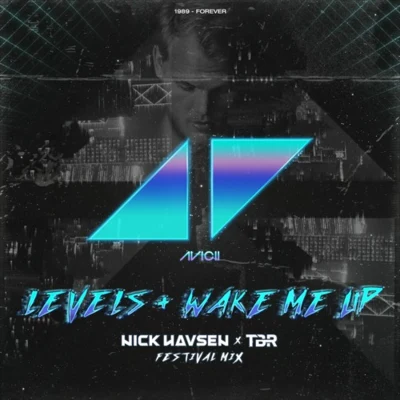 Levels+Wake Me Up (Nick Havsen & TBR Festival Mix) 專輯 TBR/Stephan Tosh