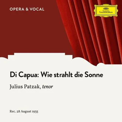 Di Capua: Wie strahlt die Sonne 專輯 Julius Patzak/Gitta Alpar/Hjordis Schymberg/Marcel Wittrisch/Richard Tauber