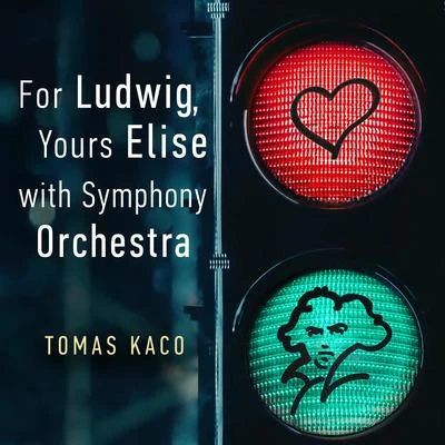 For Ludwig, Yours Elise (With Symphony Orchestra) 專輯 Jan Kučera