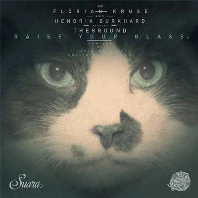 Raise Your Glass 专辑 Tesla Nix/Florian Kruse