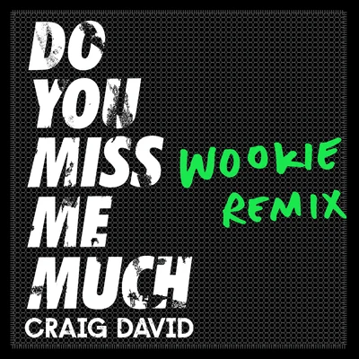 wookieLeona Lewis Do You Miss Me Much (Wookie Remix)