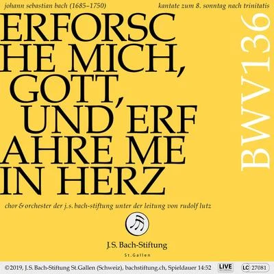 Bachkantate, BWV 136 - Erforsche mich, Gott, und erfahre mein Herz 专辑 Rudolf Lutz/Chor der J.S. Bach-Stiftung/Johann Sebastian Bach/Alex Potter