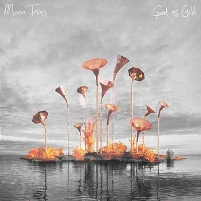 Good As Gold 专辑 Moon Taxi