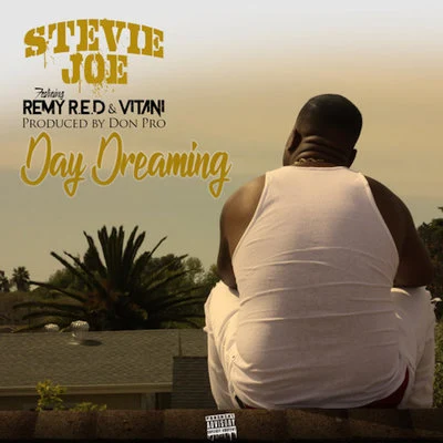 Day Dreaming (feat. Remy R.E.D & Vitani) 专辑 Stevie Joe