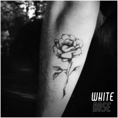 White Rose 專輯 Koji/Sully