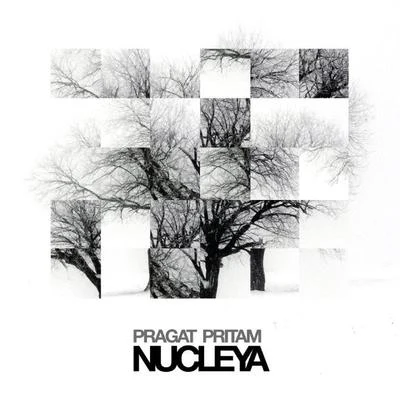 Pragat Pritam 專輯 Nucleya/Perk Pietrek