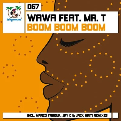 Boom Boom Boom 專輯 Wawa/Robin Schulz/Lenny Fontana/Funkerman/Goose Bumps