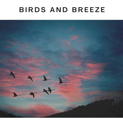 Birds and Breeze 專輯 ASMR Earth