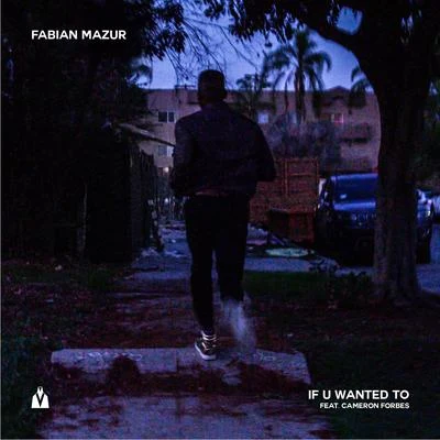 If U Wanted To 專輯 Fabian Mazur