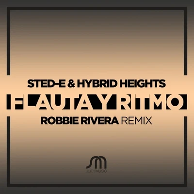 Sted-E & Hybrid HeightsAnggun Flauta y Ritmo