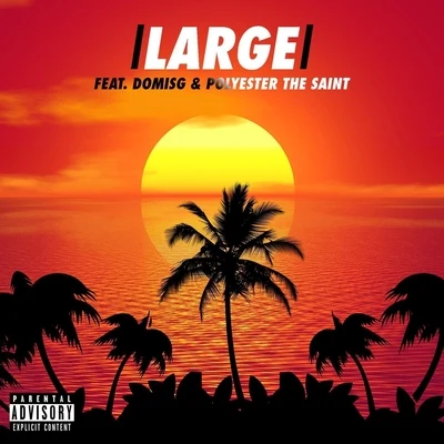 Large (feat. DomIsG & Polyester the Saint) 专辑 Polyester the Saint