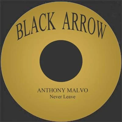 Never Leave 專輯 Anthony Malvo/Delly Ranx