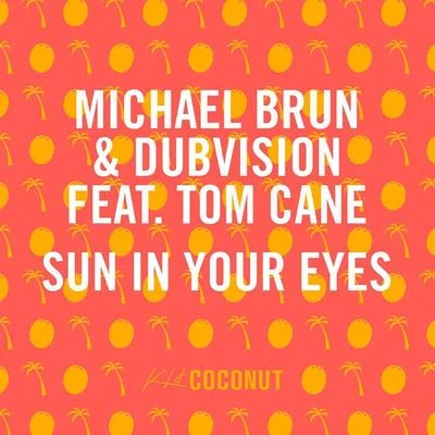 Sun in Your Eyes 專輯 Michael Brun