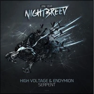 Serpent 專輯 High voltage/Bass Chaserz