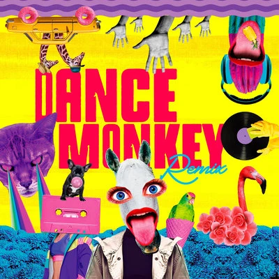 Dance Monkey 專輯 Klaire/The Fish House/Bracinni