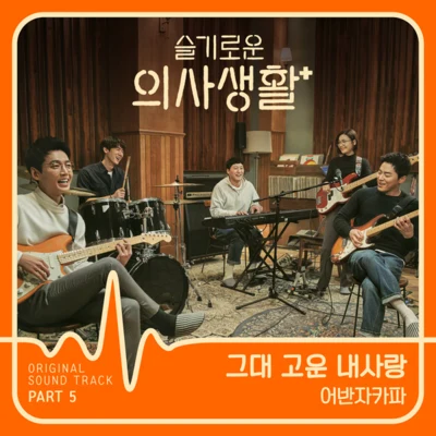 슬기로운 의사생활 OST Part 5 专辑 Urban Zakapa