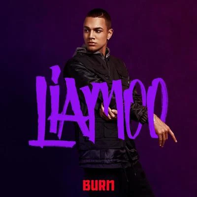 Burn 专辑 Liamoo