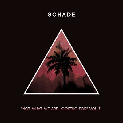 SchadeAye Sincere Not What We Are Looking For [Volume 1]