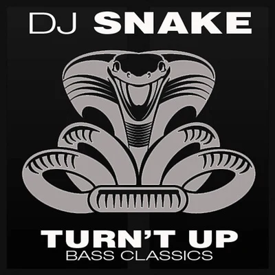 Turnt Up 專輯 DJ Snake/Kayzo/Lauv