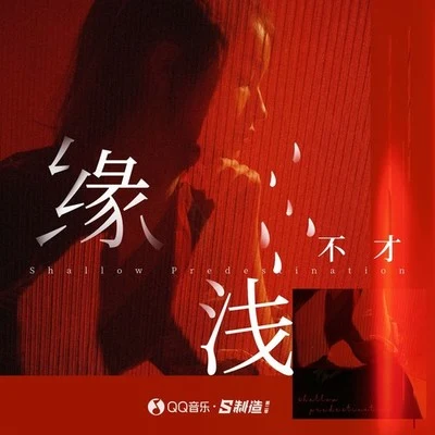 缘浅 专辑 不才/木紫紫/Yetta Tao/卫兰亭/情桑