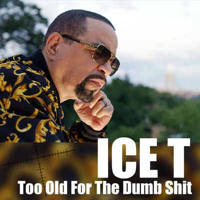 ICE-TIce T Too Old For The Dumb Shit