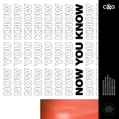 Now You Know (EP) 專輯 CVIRO/GXNXVS