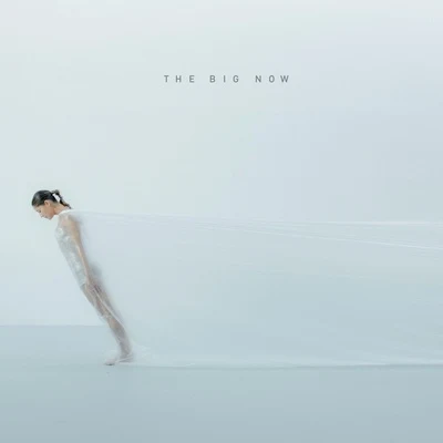 The Big Now 專輯 Missincat/Robot Koch