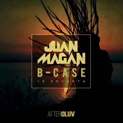 Le Encanta 專輯 Juan Magan