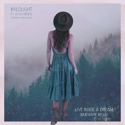 Live Inside a Dream (Our Game Redux) 專輯 Wildlight/Drumspyder