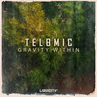 Gravity Within 专辑 Telomic