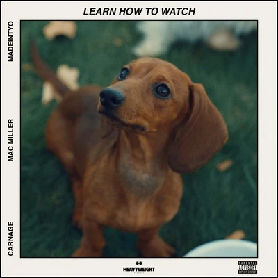 Learn How to Watch 專輯 Mac Miller/dvsn/Ty Dolla $ign