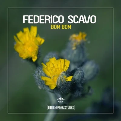 Bom Bom 專輯 Federico Scavo