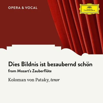 Mozart: Dies Bildnis ist bezaubernd schön 專輯 Koloman Von Pataky/Unknown Orchestra