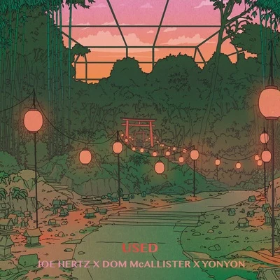 Used 專輯 Dom Mcallister