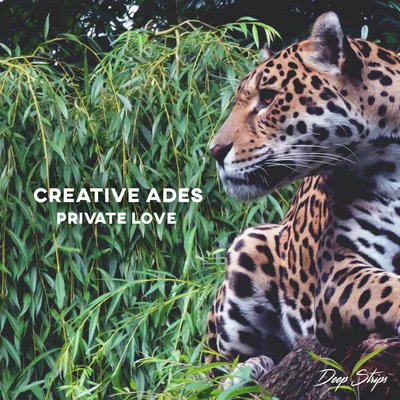 Private Love 專輯 Creative Ades