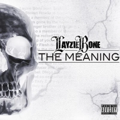 The Meaning 專輯 HC the Chemist/JC Killah/OG Killah/Money Gesus the Profit/TmileznDaBuildin