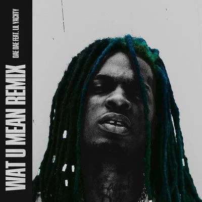 Wat U Mean [Remix] 专辑 Dae Dae/Lil Baby/Paper Lovee/Yung Bans/YNW Melly