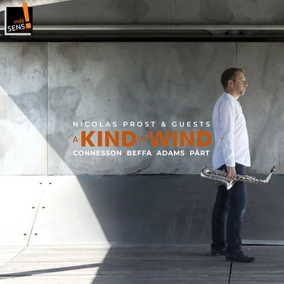 A Kind of Wind 專輯 Emmanuel Lerouge/Nicolas Prost/Cédric Cyprien