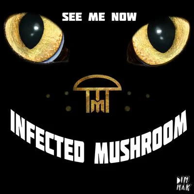 See Me Now 专辑 Infected Mushroom