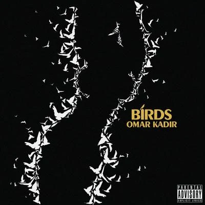 Birds - Single 專輯 Just Visionz/Omar Kadir/Rome Castille