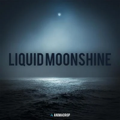 Liquid Moonshine 专辑 Animadrop/Chenda