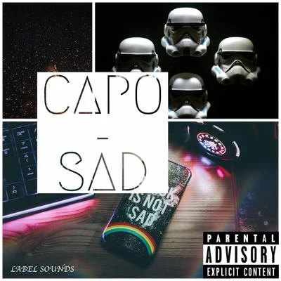 Ennemis 專輯 CAPO/DOKEDO/Haftbefehl/Kaaris