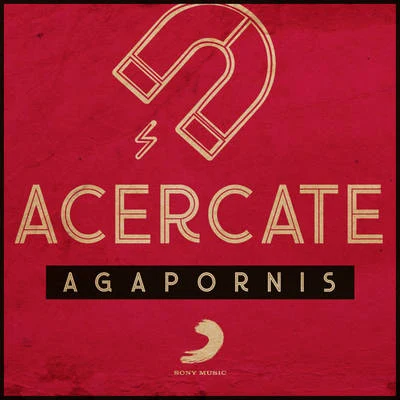 Acercate 专辑 Lauro/Agapornis/Hernan y La Champion's Liga