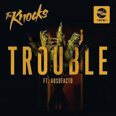 TROUBLE 专辑 The Knocks/Method Man