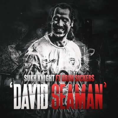 David Seaman 专辑 Sukh Knight