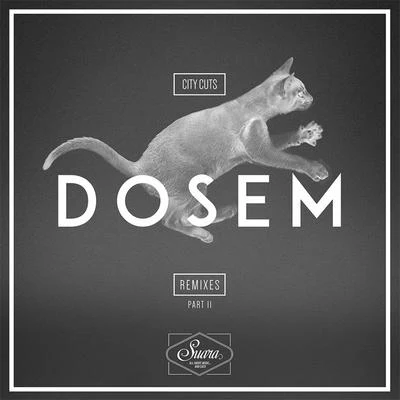 City Cuts Remixes, Pt. 2 专辑 Dosem