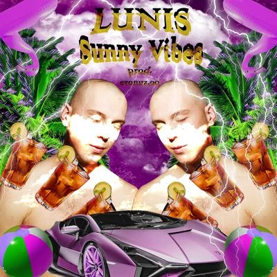 Sunny Vibes 专辑 Mangoo/Lunis/Behmer/ILURO