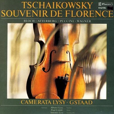 Alberto LysySophia Reuter Tchaikovsky, Bloch, K. Atterberg, Puccini & Wagner: Music for Strings